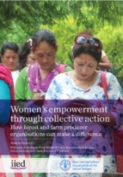 Women’s empowerment through collective action: how can forest and farm producer organisations can make a difference